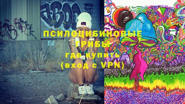 гашик Алексеевка