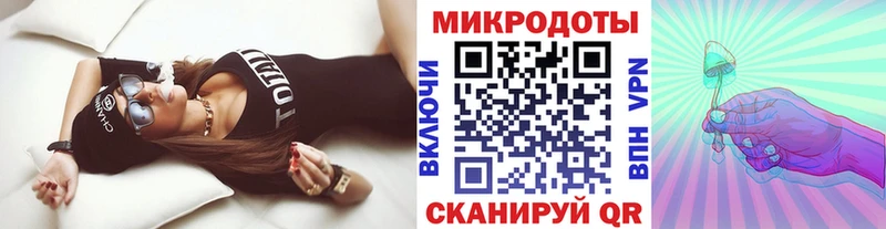 наркошоп  Исилькуль  Псилоцибиновые грибы Psilocybe 